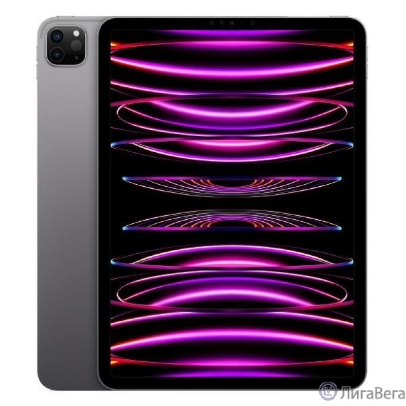 Apple iPad Pro 12.9-inch 2022 256GB Wi-Fi + Cellular - Space Gray [MP203RK/A]