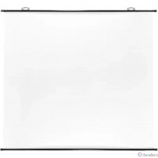 Экран Cactus 150x150см Map type CS-PSRM-150x150-BK 1:1 настенно-потолочный рулонный черный