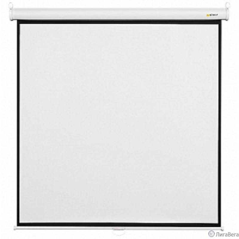 Digis Optimal-B [DSOB-4301] Экран настенный (формат 4:3, 75″, 120*160, MW)