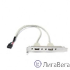 Bion планка портов 2xUSB2.0, 30 см [BXP-MB-2USB]
