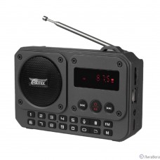 RITMIX RPR-010