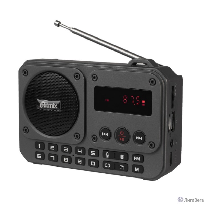 RITMIX RPR-010 RITMIX RPR-010