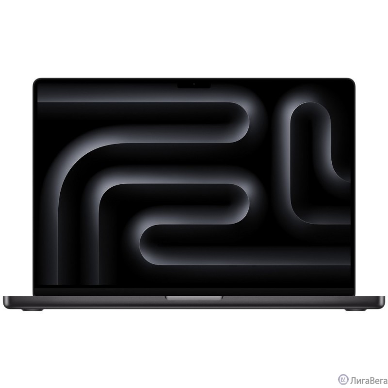 Apple MacBook Pro 16-inch 2024 [MX2Y3RU/A] Space Black 16″ Liquid Retina XDR {(3456x2234) M4 Pro 14C CPU 20C GPU/48GB/512GB SSD} (A3403) (РФ)