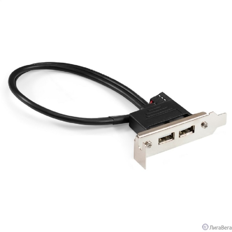 Exegate EX298293RUS Планка портов в корпус 2xUSB2.0 ExeGate BrctUSB2-2A-LP (USB 2.0 9pin (IDC 9pin F) --> 2x USB 2.0 Af, кабель 20см, Low Profile) Exegate EX298293RUS Планка портов в корпус 2xUSB2.0 ExeGate BrctUSB2-2A-LP (USB 2.0 9pin (IDC 9pin F) --> 2x USB 2.0 Af, кабель 20см, Low Profile)