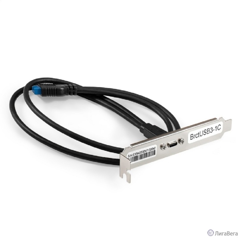 Exegate EX298296RUS Планка портов в корпус Type-C ExeGate BrctUSB3-1C (USB 3.2 Gen1 20pin (IDC 20pin F) --> USB 3.2 Gen1 Type-Cf, кабель 30см) Exegate EX298296RUS Планка портов в корпус Type-C ExeGate BrctUSB3-1C (USB 3.2 Gen1 20pin (IDC 20pin F) --> USB 3.2 Gen1 Type-Cf, кабель 30см)