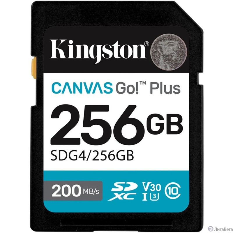 SecureDigital 256GB Kingston SDG4/256GB Canvas Go! Plus V30 w/o adapter