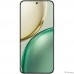 Honor X9d 12GB/256GB мятный [5109BYPV] (876273)