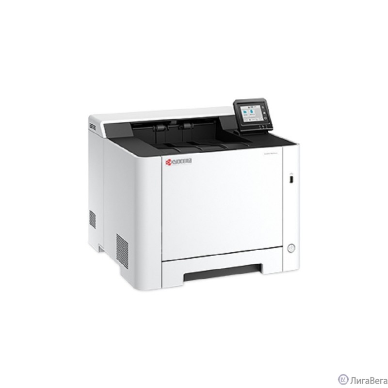 Kyocera Ecosys PA2101cx (110C253NL0)