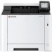 Kyocera Ecosys PA2101cx (110C253NL0)