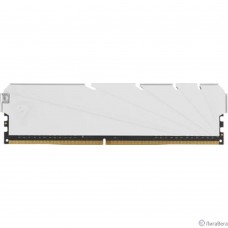 Netac DDR4 DIMM 8GB NTSSD4P32SP-08W PC4-25600, 3200MHz