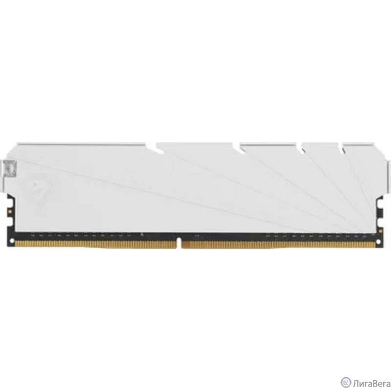 Netac DDR4 DIMM 8GB NTSSD4P32SP-08W PC4-25600, 3200MHz