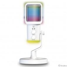 RITMIX RDM-178 USB Gaming White {подкл. Type-C - USB A / Type-C, Jack 3,5 мм на наушники, подсветка, шумоподавление; размеры микрофона: 5 * 15* 5 см}