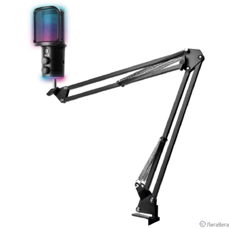 RITMIX RDM-278 USB Gaming Black {Подключение Type-C - USB A / Type-C, Jack 3,5 мм на наушники; размеры микрофона: 5 * 15* 5 см} RITMIX RDM-278 USB Gaming Black {Подключение Type-C - USB A / Type-C, Jack 3,5 мм на наушники; размеры микрофона: 5 * 15* 5 см}