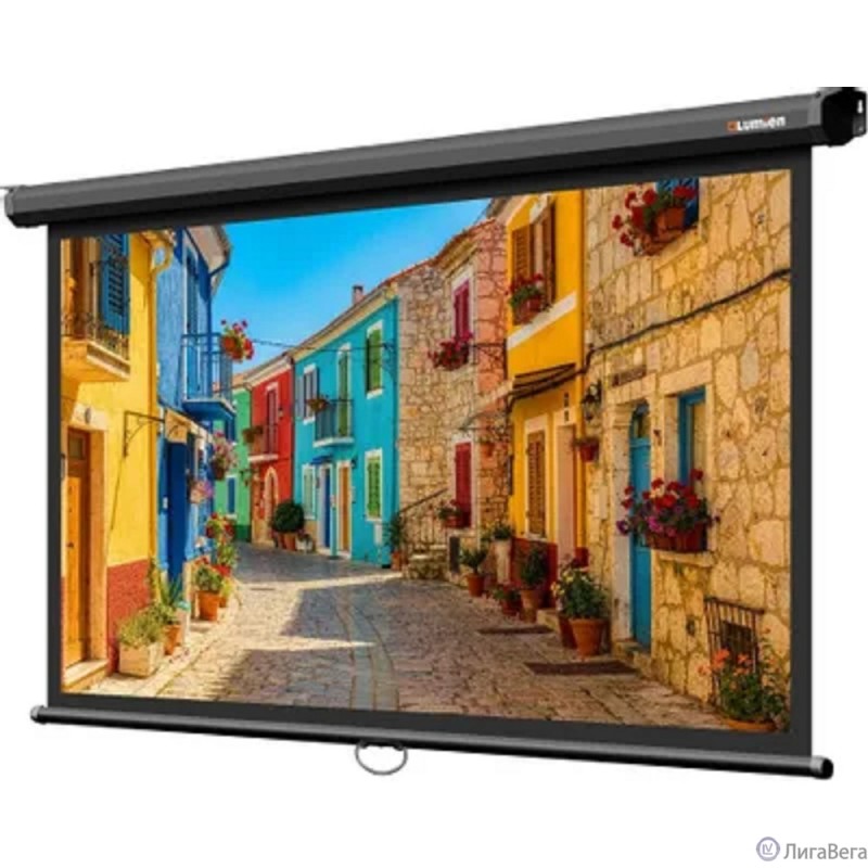 LUMIEN Eco Picture LEP-100129 137х192см (рабочая область 104х186 см) (84″) Matte White верх.кайма 30 см, восьмигранный корпус, возможность потолочн./настенного крепления, 16:9, цвет корпуса черный LUMIEN Eco Picture LEP-100129 137х192см (рабочая область 104х186 см) (84″) Matte White верх.кайма 30 см, восьмигранный корпус, возможность потолочн./настенного крепления, 16:9, цвет корпуса черный