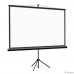 Lumien Eco View LEV-100114 Экран на штативе 115x200 см (раб.область 109х194 см) (88″) Matte White 16:9