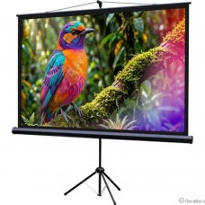 Lumien Eco View LEV-100115 Экран на штативе 130x227 см (раб.область 124х221 см) (100″) Matte White 16:9