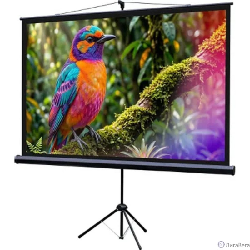 Lumien Eco View LEV-100115 Экран на штативе 130x227 см (раб.область 124х221 см) (100″) Matte White 16:9 Lumien Eco View LEV-100115 Экран на штативе 130x227 см (раб.область 124х221 см) (100″) Matte White 16:9