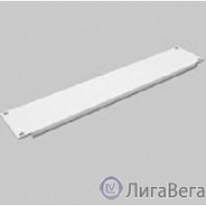 ЦМО Фальшпанель в шкаф 19″ 2U (ФП-2)