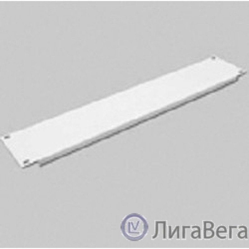 ЦМО Фальшпанель в шкаф 19″ 2U (ФП-2)