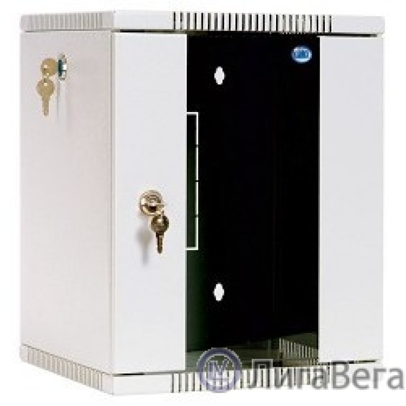 ЦМО Шкаф телекоммуникационный настенный 10″ 8U, (320х255) 420x320x305 (ШРН-8.255-10) ЦМО Шкаф телекоммуникационный настенный 10″ 8U, (320х255) 420x320x305 (ШРН-8.255-10)