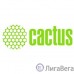 CACTUS  CS-CE320A Картридж  для принтеров HP LaserJet CP1525  черный 2000 стр.