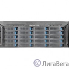 Procase ES420-SATA3-B-0 {4U 20 SATAII/SAS hotswap HDD, глубина 650мм, MB 12″x13″, без Б/П,черный}