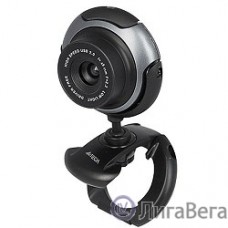 Web-камера A4Tech PK-710G Grey {640 x 480, 0.3 МПикс, USB, микрофон} [621953]