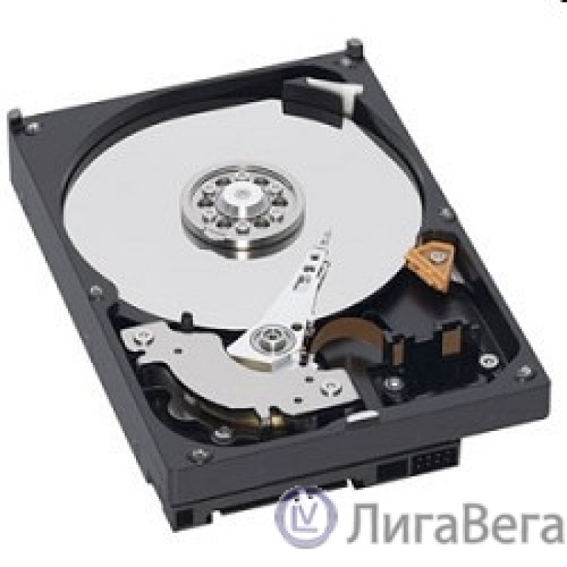1TB WD Blue (WD10EZEX) {Serial ATA III, 7200 rpm, 64Mb buffer} 1TB WD Blue (WD10EZEX) {Serial ATA III, 7200 rpm, 64Mb buffer}