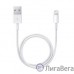 Apple Lightning to USB cable (0.5 m) [ME291ZM/A]