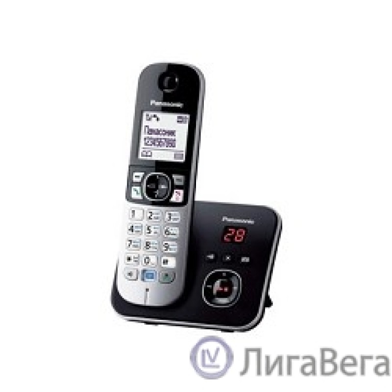 Panasonic KX-TG6821RUB  (черный) {Беспроводной DECT,автоответчик,определитель номера,телефонный справочник 120 зап.}