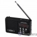 Perfeo мини-аудио Sound Ranger, FM MP3 USB microSD In/Out ридер, BL-5C 1000mAh, черный (PF-SV922BK) [PF_3184]