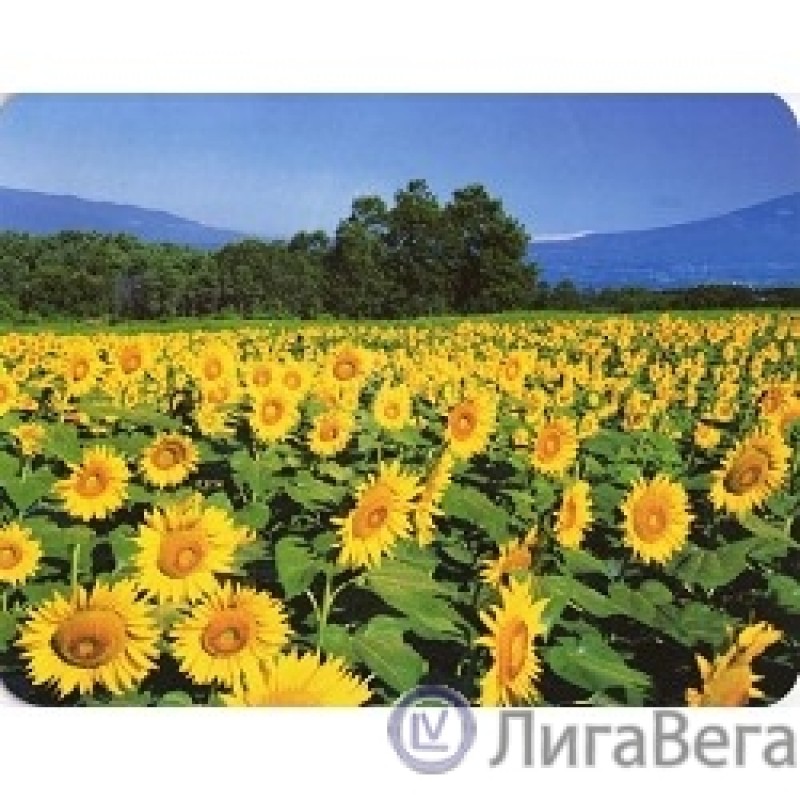 Коврик для мыши Buro BU-M20036 рисунок/подсолнухи [817310]