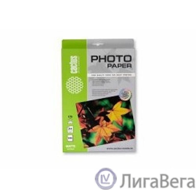 CACTUS CS-MA4170100 Фотобумага матовая A4 170 г/м2 100 листов CACTUS CS-MA4170100 Фотобумага матовая A4 170 г/м2 100 листов