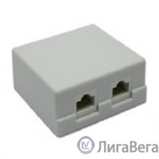 5bites LY-SB02-A Розетка  внешняя RJ-45 5e кат., 2порт.