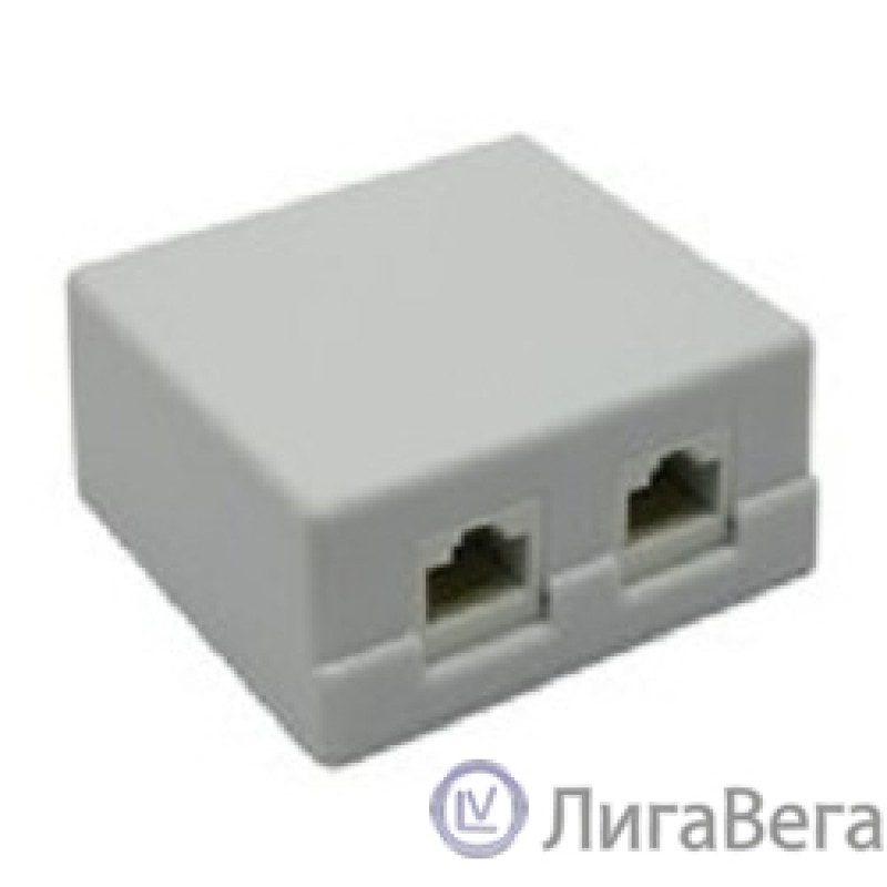 5bites LY-SB02-A Розетка  внешняя RJ-45 5e кат., 2порт.