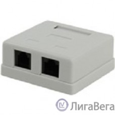 5bites LY-SB09 Розетка  внешняя RJ-45+RJ-11 5e кат.