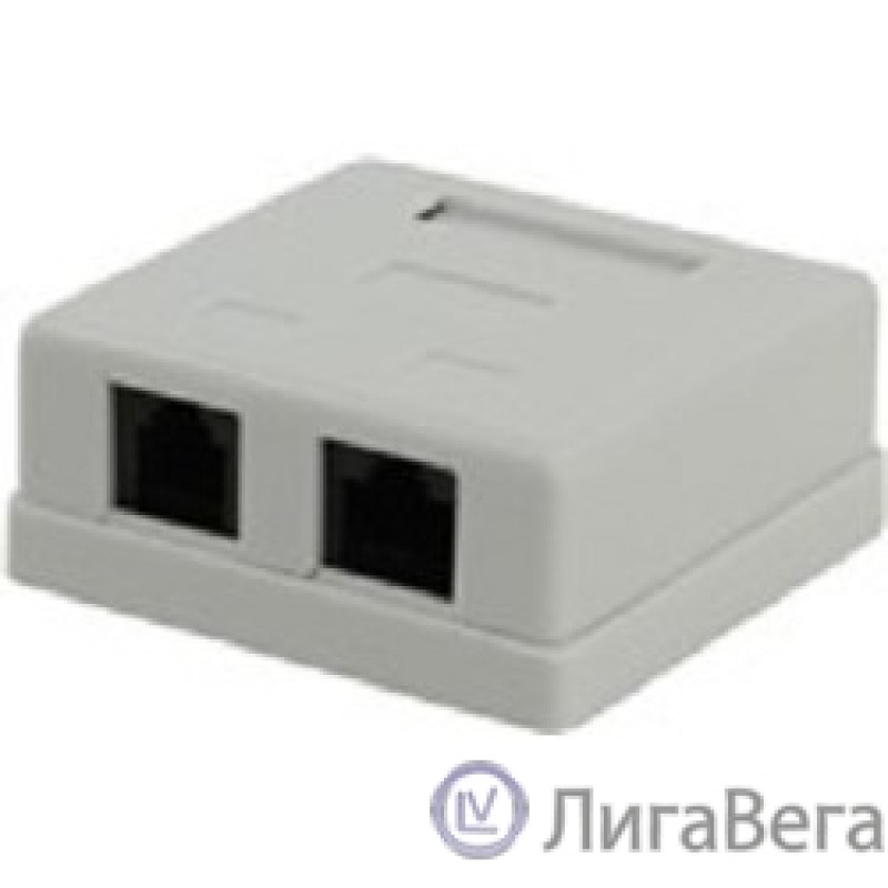 5bites LY-SB09 Розетка  внешняя RJ-45+RJ-11 5e кат.
