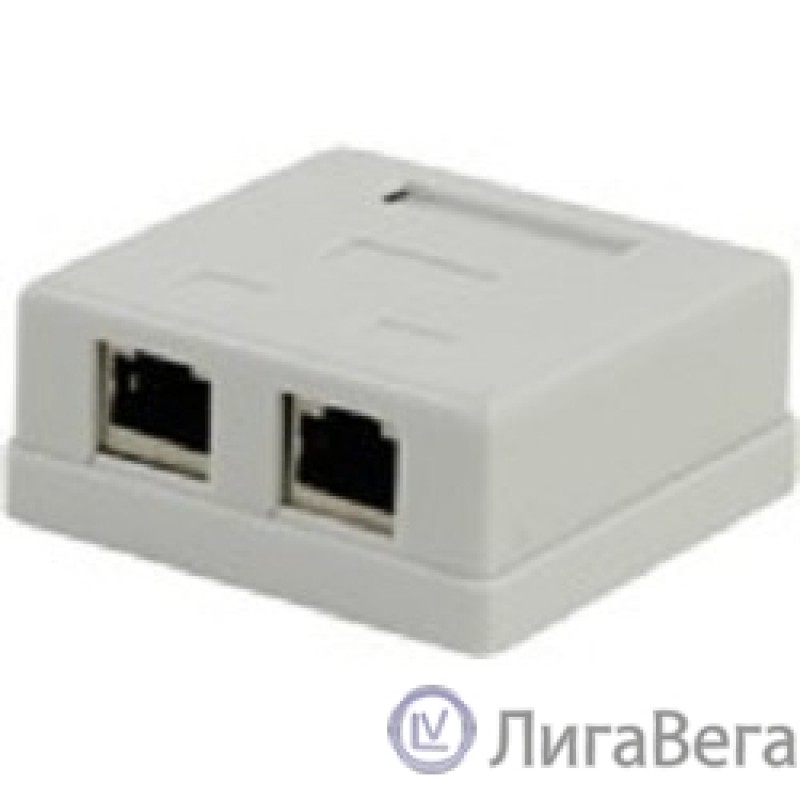 5bites LY-SB11 Розетка внешняя RJ-45 STP 5e кат., 2порт. 5bites LY-SB11 Розетка внешняя RJ-45 STP 5e кат., 2порт.