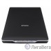 EPSON Perfection V19 [B11B231401] {А4, 4800x4800,USB 2.0}