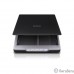 EPSON Perfection V19 [B11B231401] {А4, 4800x4800,USB 2.0}