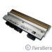 Zebra [P1037974-010] Печатающая головка 203 dpi для принтеров ZT200