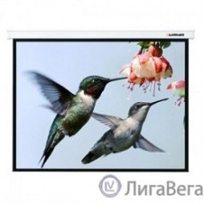 LUMIEN Master Picture LMP-100135  (179x280), рабочая область (169x270) 16:10, черная кайма по периметру