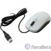 Genius Мышь DX-110 White { оптическая, 1000 dpi, 3 кнопки+колесо прокрутки, провод 1,5 м, USB } [31010009401/31010116102]