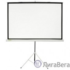 Экран Cactus Triscreen CS-PST-104x186 104.4 x 186см 1:1 напольный рулонный белый