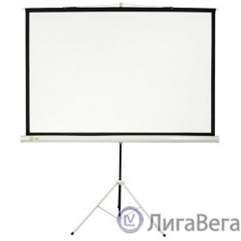 Экран Cactus Triscreen CS-PST-104x186 104.4 x 186см 1:1 напольный рулонный белый