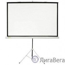 Экран Cactus Triscreen CS-PST-124x221 124.5 x 221см 16:9 напольный рулонный белый/черный