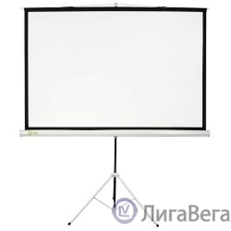 Экран Cactus Triscreen CS-PST-124x221 124.5 x 221см 16:9 напольный рулонный белый/черный Экран Cactus Triscreen CS-PST-124x221 124.5 x 221см 16:9 напольный рулонный белый/черный