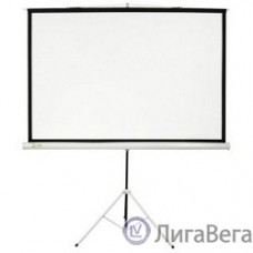 Экран Cactus Triscreen CS-PST-180X180 180х180см 1:1 напольный белый
