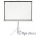 Экран Cactus Triscreen CS-PST-180X180 180х180см 1:1 напольный белый