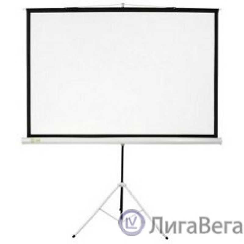 Экран Cactus Triscreen CS-PST-180X180 180х180см 1:1 напольный белый